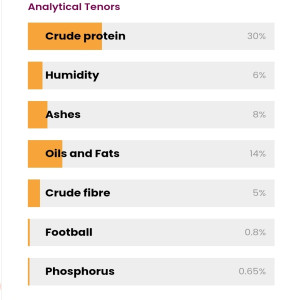 אלפא לחתול מסורס בטעם בקר 20 ק