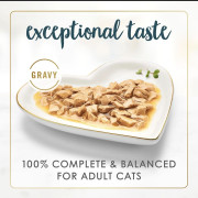 פנסי פיסט סלמון וסול ברוטב עשיר 85 גרם