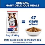 מזון לכלבים מבוגרים הילס סיינס פלאן כבש 14 ק"ג